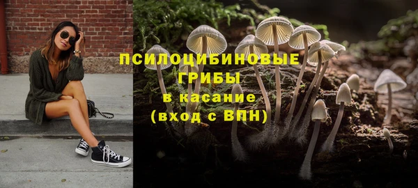 прущий лед Аркадак
